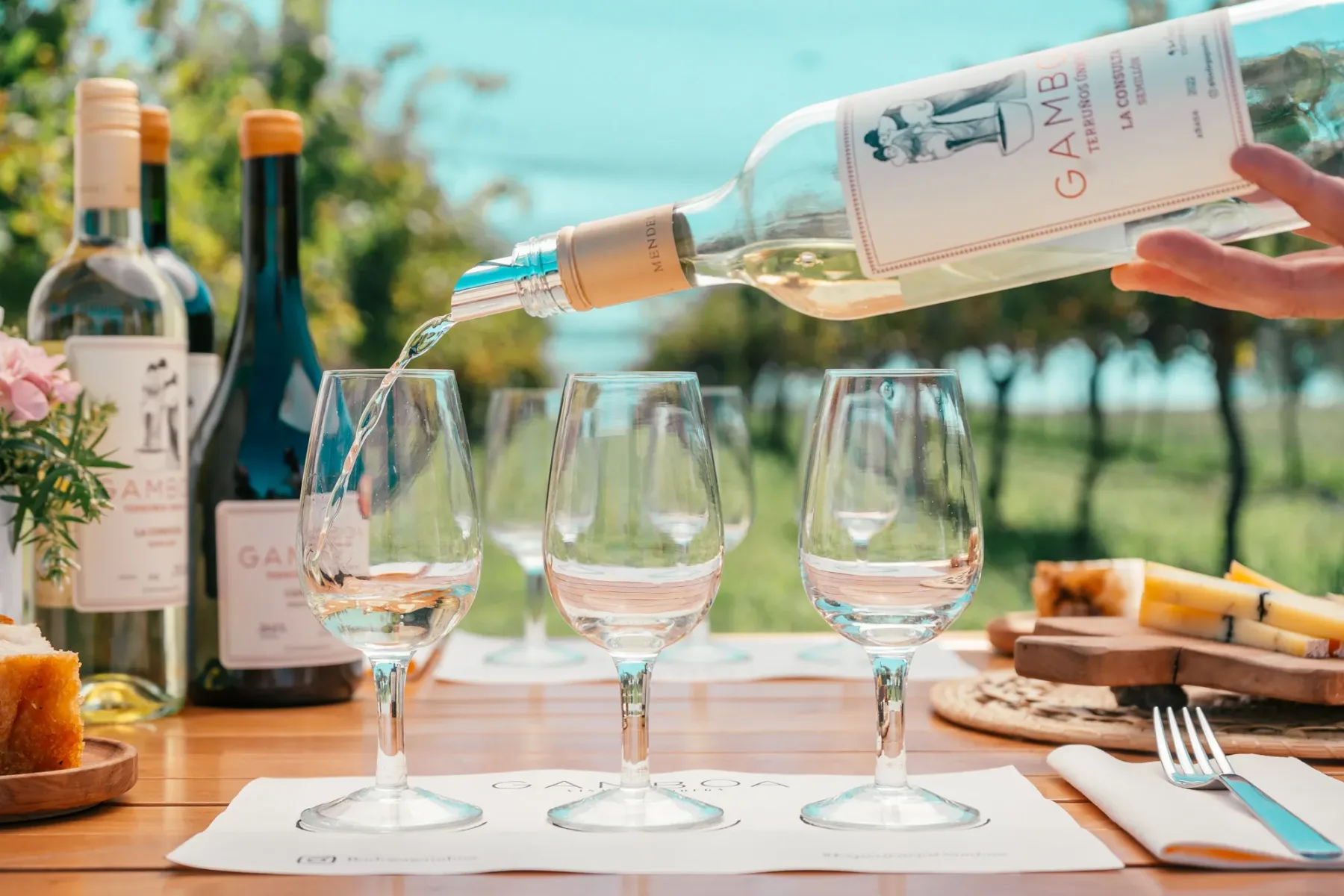 Degustação de vinho na Vinícola Gamboa, com taças servidas ao lado dos vinhedos.