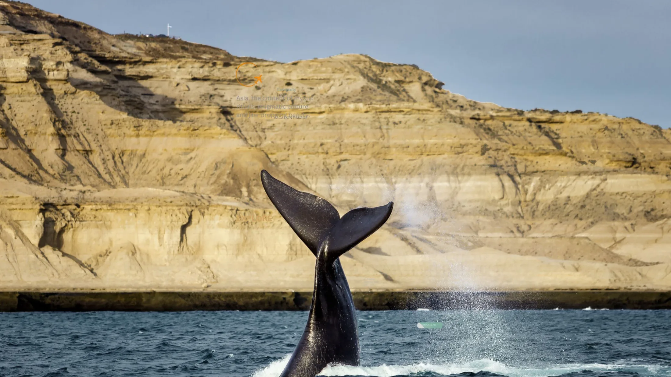 baleia em puerto madryn