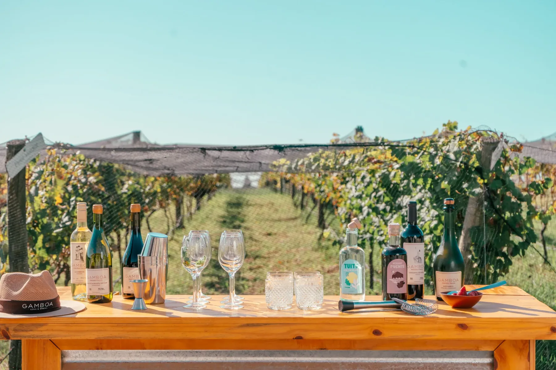 Degustação de vinhos na Vinícola Gamboa, com garrafas e taças em frente aos vinhedos próximos a Buenos Aires.