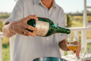 Crie seu próprio blend, explore os vinhedos e saboreie um almoço harmonizado com rótulos premiados em passeios próximos a Buenos Aires.