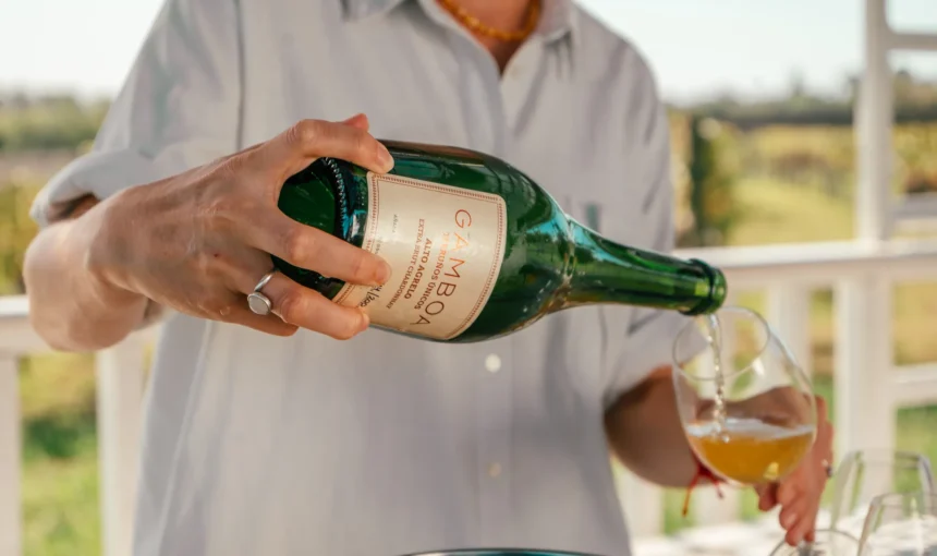 Crie seu próprio blend, explore os vinhedos e saboreie um almoço harmonizado com rótulos premiados em passeios próximos a Buenos Aires.