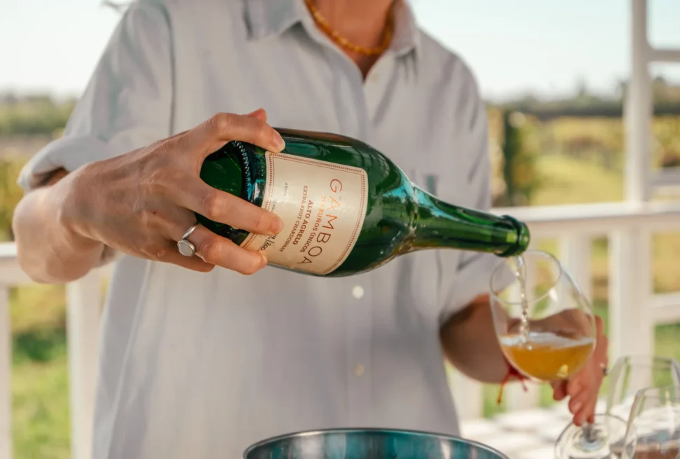 Crie seu próprio blend, explore os vinhedos e saboreie um almoço harmonizado com rótulos premiados em passeios próximos a Buenos Aires.