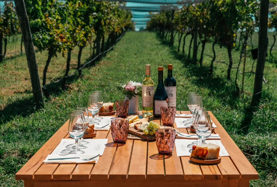 Degustação de vinhos exclusivos da Bodega Gamboa, harmonizada com um almoço de várias etapas, destacando a culinária local.