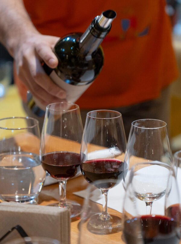 Viva uma experiência completa no City & wine tour Ushuaia, combinando city tour Ushuaia com degustação de vinhos patagônicos, mirantes fotográficos e história local.