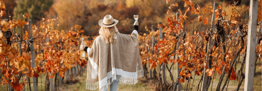 wine tour colonia del sacramento