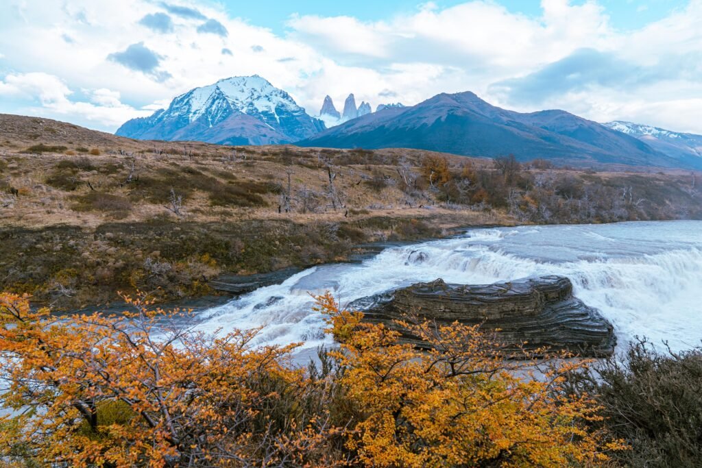 Explore as maravilhas do Parque Nacional Torres del Paine em uma excursão de dia inteiro saindo de El Calafate. Descubra paisagens deslumbrantes e uma rica fauna.