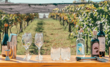 Passeio guiado pelos vinhedos da Bodega Gamboa, com foco na história e características do terroir de Campana.