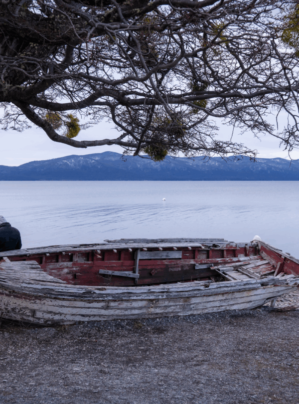 Explore Tierra del Fuego com a My Little Buenos Aires na expedição off-road 4x4, passeio imperdível para os amantes da natureza.