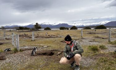 Caminhe ao lado dos pinguins de Magalhães e papuas na Ilha Martillo, um passeio único em Ushuaia com navegação.