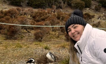 Caminhe ao lado dos pinguins de Magalhães e papuas na Ilha Martillo, um passeio único em Ushuaia com navegação.
