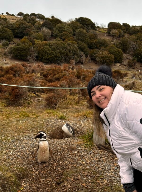 Caminhe ao lado dos pinguins de Magalhães e papuas na Ilha Martillo, um passeio único em Ushuaia com navegação.
