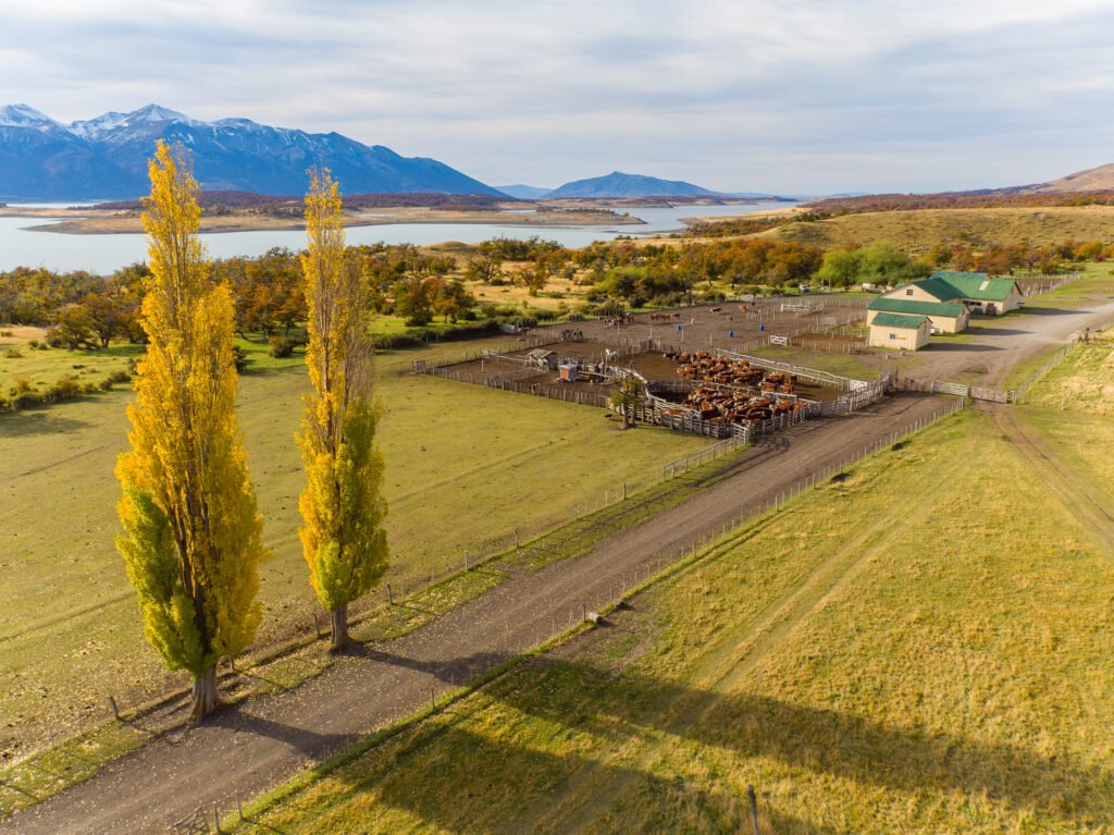  Explore a autêntica fazenda Nibepo Aike na Patagônia. Desfrute de atividades tradicionais, como demonstração de tosquia  e asado de cordeiro, em um dia de campo inesquecível.