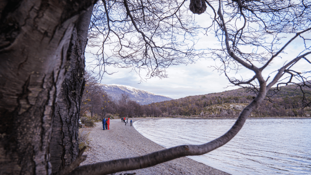 Explore o Parque Nacional Tierra Del Fuego, conheça o Correio do Fim do Mundo, o Lago Roca, e a Baía Lapataia, final da Rota Pan-Americana.