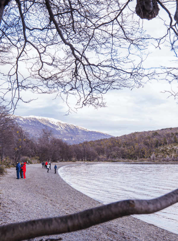 Explore o Parque Nacional Tierra Del Fuego, conheça o Correio do Fim do Mundo, o Lago Roca, e a Baía Lapataia, final da Rota Pan-Americana.