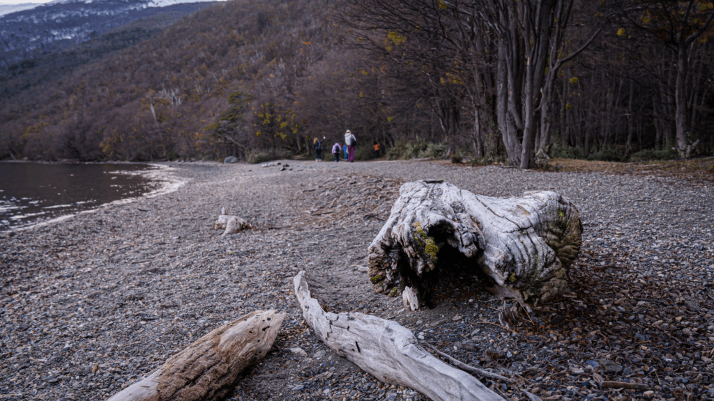 Explore o Parque Nacional Tierra Del Fuego, conheça o Correio do Fim do Mundo, o Lago Roca, e a Baía Lapataia, final da Rota Pan-Americana.