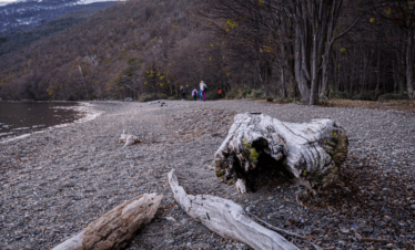 Explore o Parque Nacional Tierra Del Fuego, conheça o Correio do Fim do Mundo, o Lago Roca, e a Baía Lapataia, final da Rota Pan-Americana.