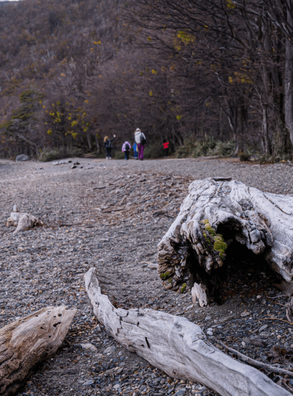 Explore o Parque Nacional Tierra Del Fuego, conheça o Correio do Fim do Mundo, o Lago Roca, e a Baía Lapataia, final da Rota Pan-Americana.