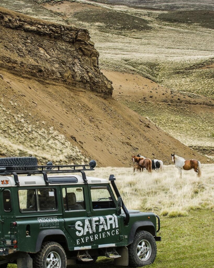 Explore a Patagônia Profunda em uma emocionante expedição 4x4. Visite sítios arqueológicos, observe a fauna local e desfrute de um delicioso almoço.