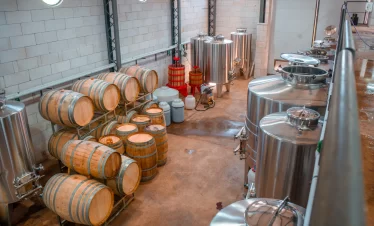 Bodega Gamboa: crie seu próprio blend, explore vinhedos, faça degustação de vinhos exclusivos e finalize com um menu harmonizado imperdível.