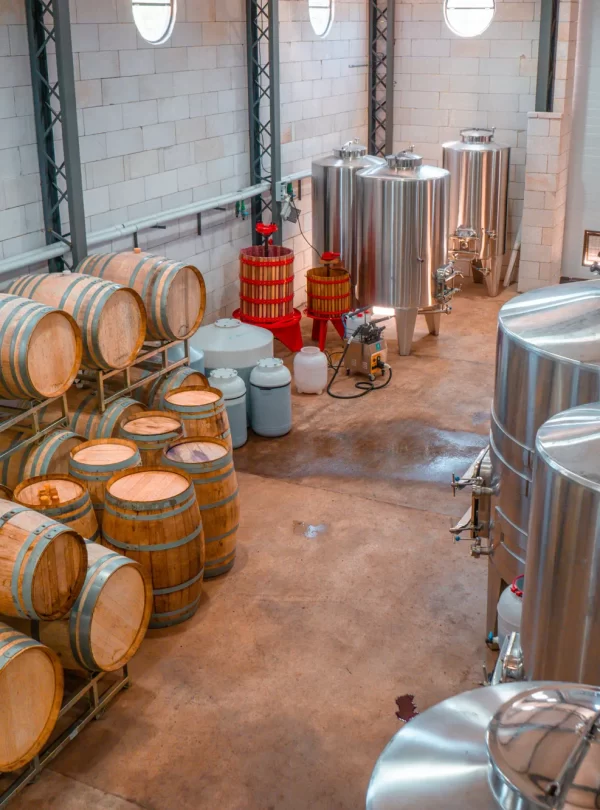 Bodega Gamboa: crie seu próprio blend, explore vinhedos, faça degustação de vinhos exclusivos e finalize com um menu harmonizado imperdível.