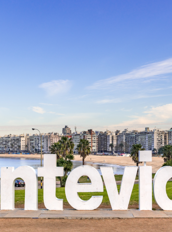 Explore Montevidéu em um dia: Pacote completo com transporte, city tour guiado, almoço incluso e tempo para compras no Montevideo Shopping.
