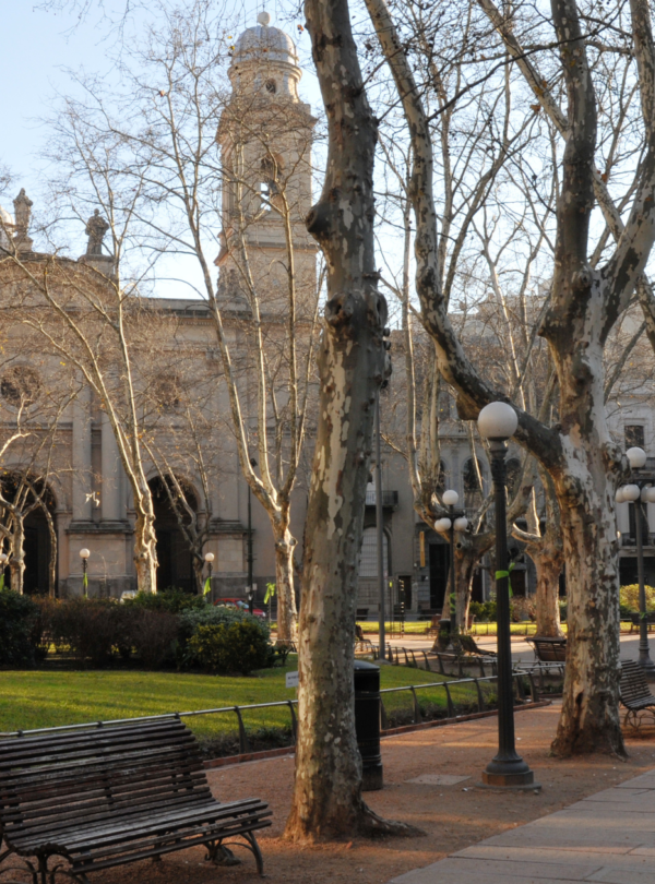 Explore Montevidéu em um dia: Pacote completo com transporte, city tour guiado, almoço incluso e tempo para compras no Montevideo Shopping.