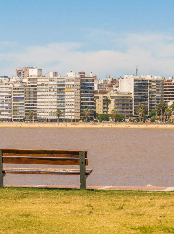 Explore Montevidéu em um dia: Pacote completo com transporte, city tour guiado, almoço incluso e tempo para compras no Montevideo Shopping.