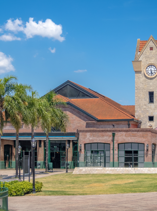 Explore o Delta do Tigre com nosso passeio clássico. Saída de Buenos Aires, navegação, visita ao Puerto de Frutos e retorno ao centro.