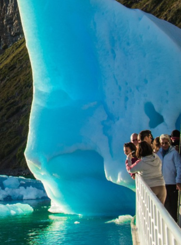 Explore a Patagônia com o Glaciares Gourmet Premium e navegue pelos glaciares em um cruzeiro com almoço incluído. El Calafate, te espera!