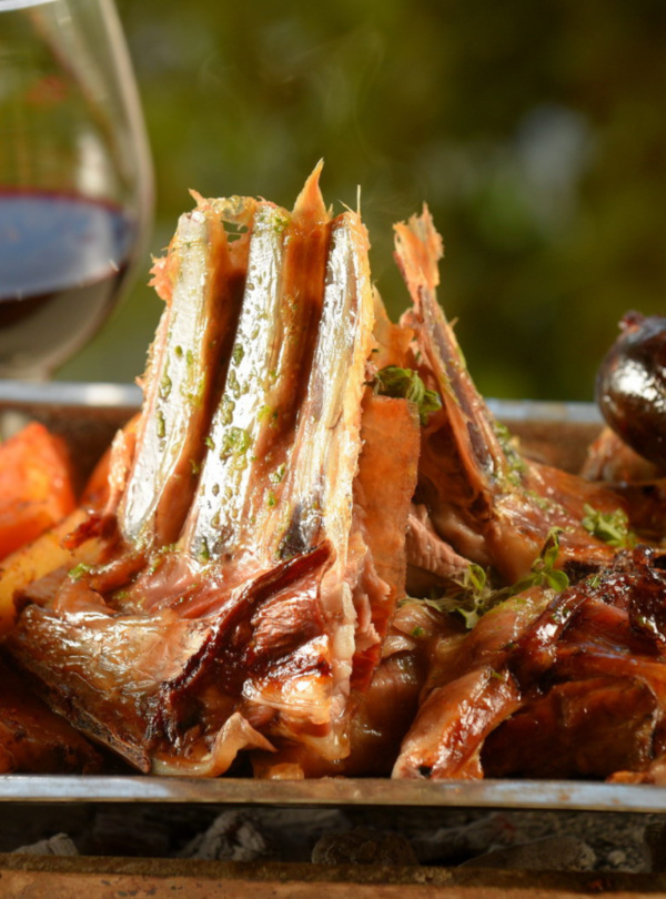 Estância 25 de Mayo: tour completo e um jantar patagônico acompanhado de show folclórico. Uma experiência única na Patagônia!