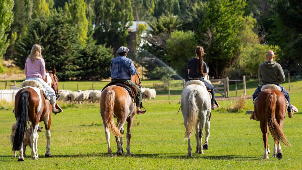 Estância 25 de Mayo: tour completo e um jantar patagônico acompanhado de show folclórico. Uma experiência única na Patagônia!