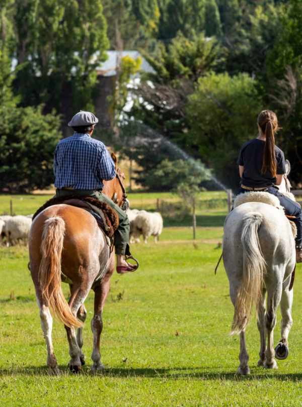 Estância 25 de Mayo: tour completo e um jantar patagônico acompanhado de show folclórico. Uma experiência única na Patagônia!