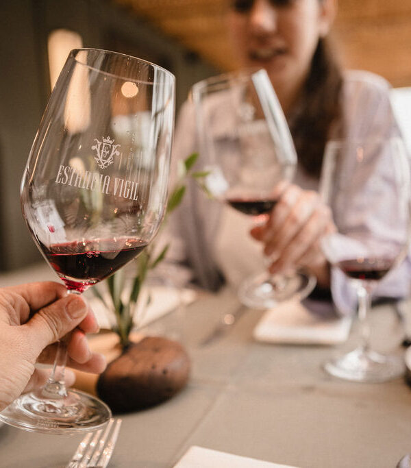Descubra a Wine Experience Estância Vigil, uma experiência exclusiva de degustação de vinho em Buenos Aires com visita ao vinhedo, almoço harmonizado e traslado privativo incluído.