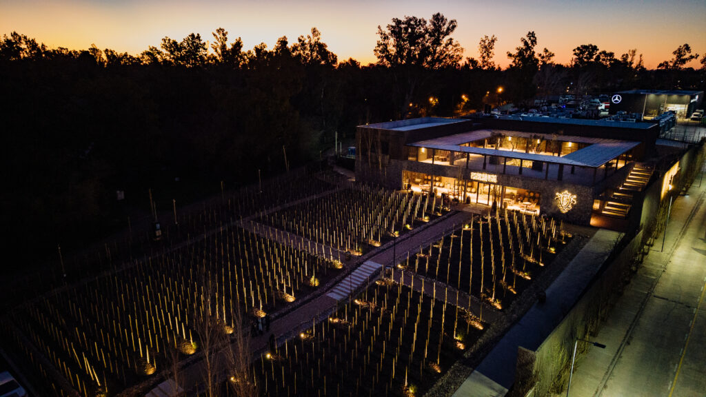 Descubra a Wine Experience Estância Vigil, uma experiência exclusiva de degustação de vinho em Buenos Aires com visita ao vinhedo, almoço harmonizado e traslado privativo incluído.