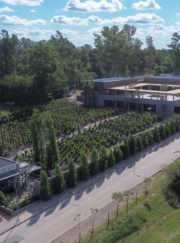 Descubra a Wine Experience Estância Vigil, uma experiência exclusiva de degustação de vinho em Buenos Aires com visita ao vinhedo, almoço harmonizado e traslado privativo incluído.