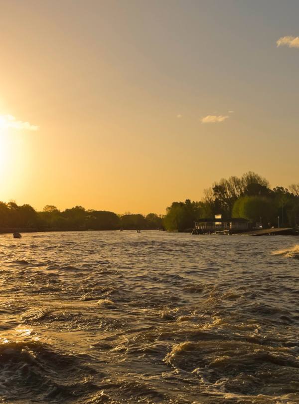 Explore o Delta do Tigre com nosso passeio clássico. Saída de Buenos Aires, navegação, visita ao Puerto de Frutos e retorno ao centro.