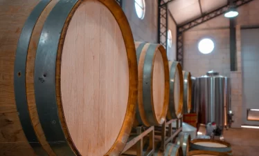 Descubra a imersão gastronômica e vinícola da Bodega Gamboa, com degustação de vinhos exclusivos e almoço harmonizado.
