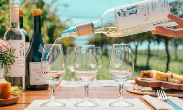 Descubra uma experiência única na Bodega Gamboa: crie seu próprio blend, explore vinhedos, deguste vinhos exclusivos e finalize com um menu harmonizado imperdível.
