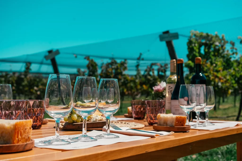 Descubra uma experiência única na Bodega Gamboa: crie seu próprio blend, explore vinhedos, deguste vinhos exclusivos e finalize com um menu harmonizado imperdível.