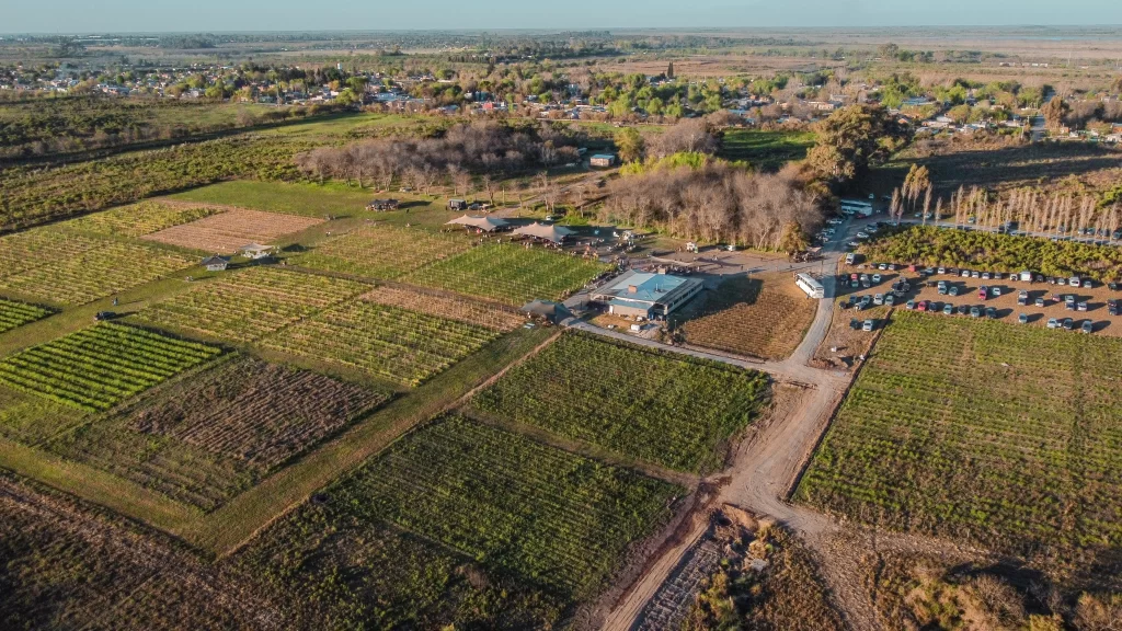 Descubra uma experiência única na Bodega Gamboa: crie seu próprio blend, explore vinhedos, deguste vinhos exclusivos e finalize com um menu harmonizado imperdível.
