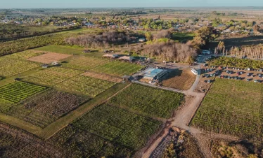 Descubra uma experiência única na Bodega Gamboa: crie seu próprio blend, explore vinhedos, deguste vinhos exclusivos e finalize com um menu harmonizado imperdível.