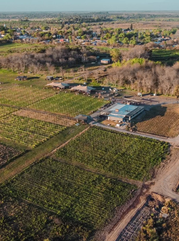 Descubra uma experiência única na Bodega Gamboa: crie seu próprio blend, explore vinhedos, deguste vinhos exclusivos e finalize com um menu harmonizado imperdível.