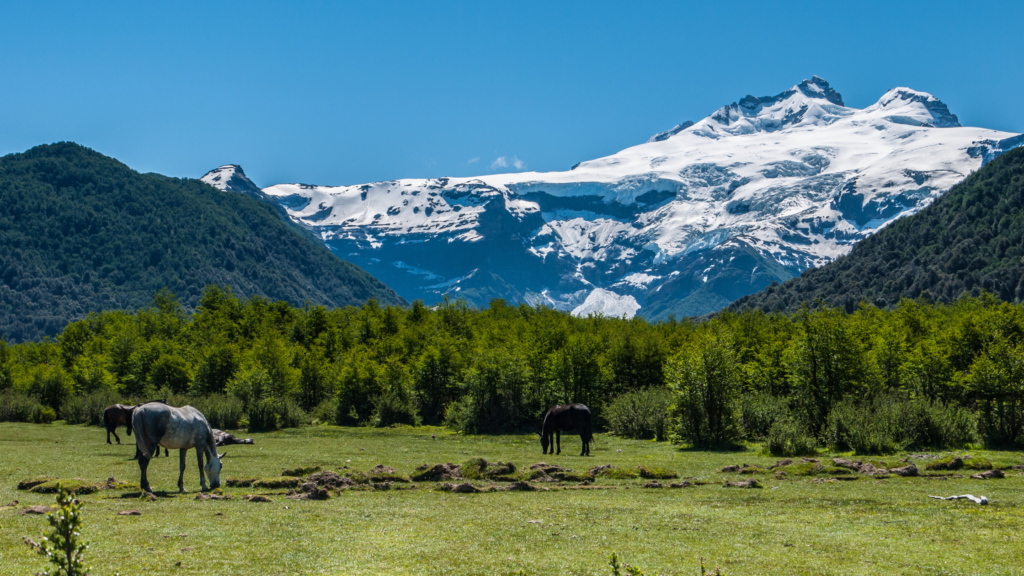 Explore o Cerro Tronador, o vulcão mais alto do Parque Nacional Nahuel Huapi. Conheça o Ventisquero Negro e viva uma experiência inesquecível entre Argentina e Chile