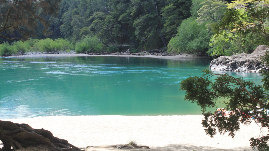Descubra paisagens deslumbrantes na selva valdiviana em Puerto Blest e a cascada Los Cántaros.