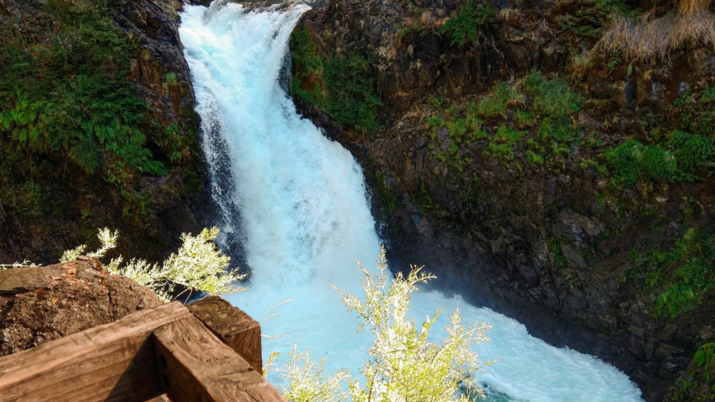 Descubra paisagens deslumbrantes na selva valdiviana em Puerto Blest e a cascada Los Cántaros.