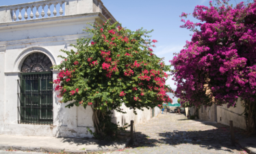 Colonia del Sacramento Inesquecível é em um passeio de um dia completo com saída de Buenos Aires todos os dias.