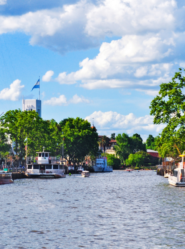 Explore o Delta do Tigre com nosso passeio clássico. Saída de Buenos Aires, navegação, visita ao Puerto de Frutos e retorno ao centro.