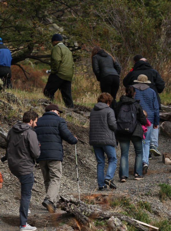 Explore a Patagônia com o Glaciares Gourmet Premium e navegue pelos glaciares em um cruzeiro com almoço incluído. El Calafate, te espera!