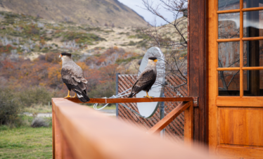 Explore as maravilhas do Parque Nacional Torres del Paine em uma excursão de dia inteiro saindo de El Calafate.