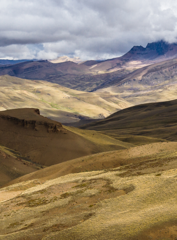 Safari Experience: Aventura 4x4 na Patagônia com almoço ou jantar incluso. Excursão de meio-dia Ideal para o dia de chegada ou partida.